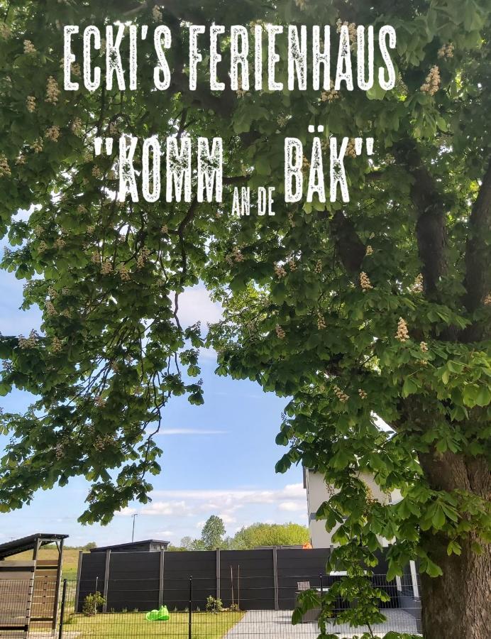 Ferienhaus Ecki's 